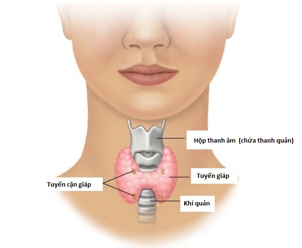 nhan-tuyen-giap22-1709775789916404892861.webp